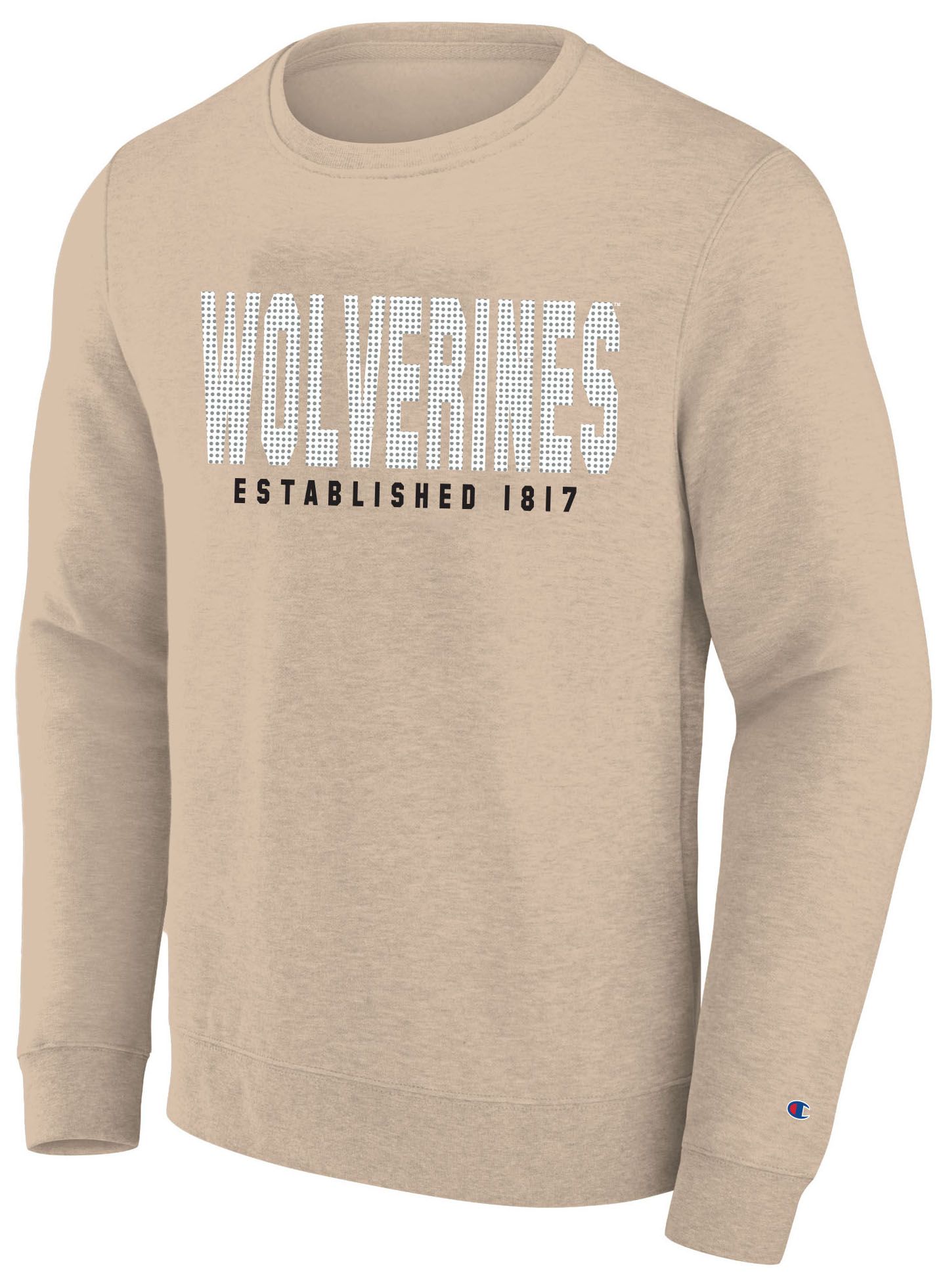 Champion Men's Michigan Wolverines Heavyweight Long Sleeve Shirt