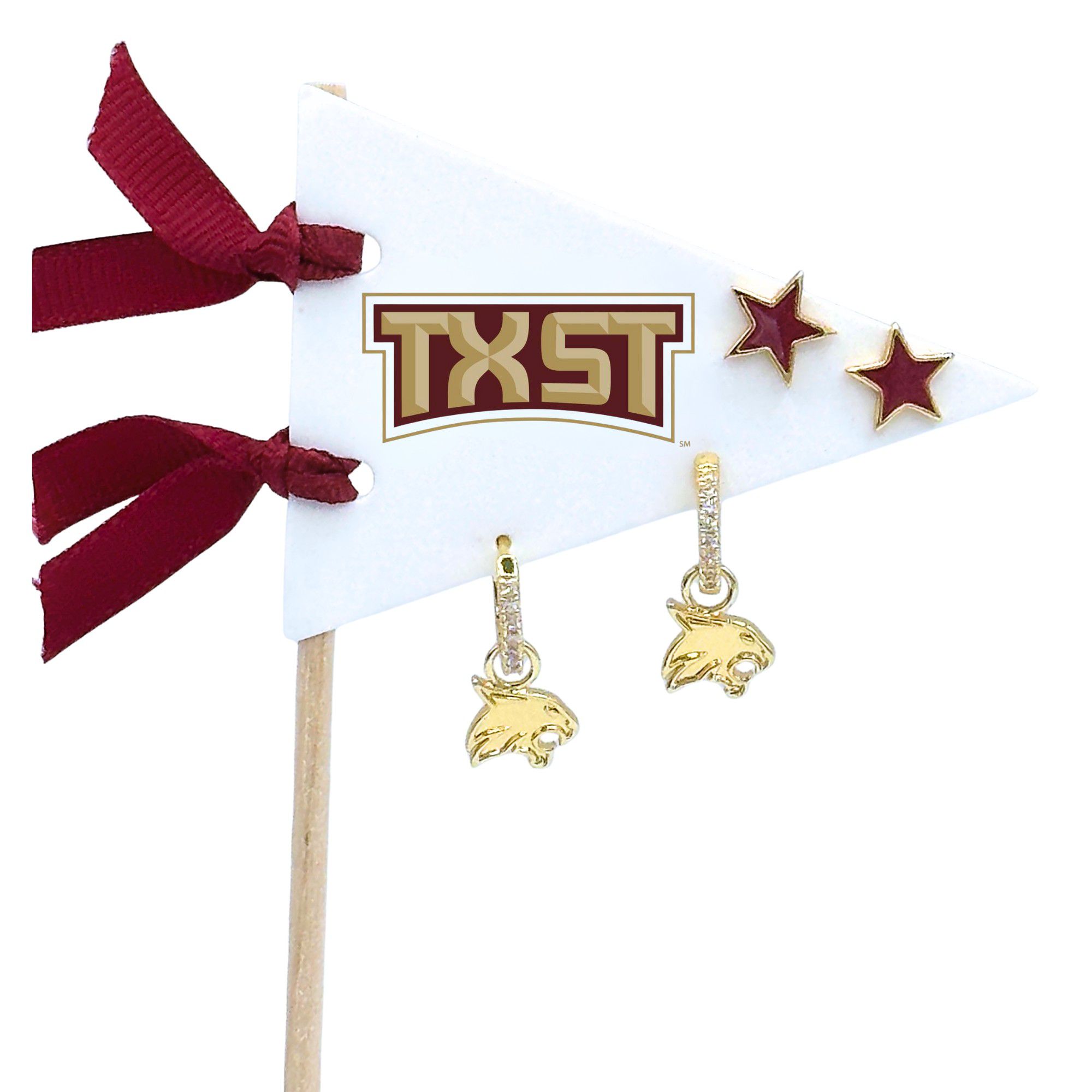 Color Shout Women's Texas State Pennant Pair Earring Set