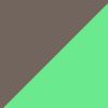Matte Tortoise/Green Mirror