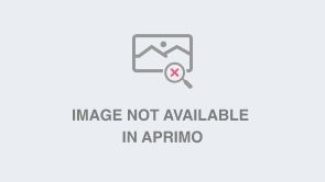 Dick's Sporting Goods Logo Armchair