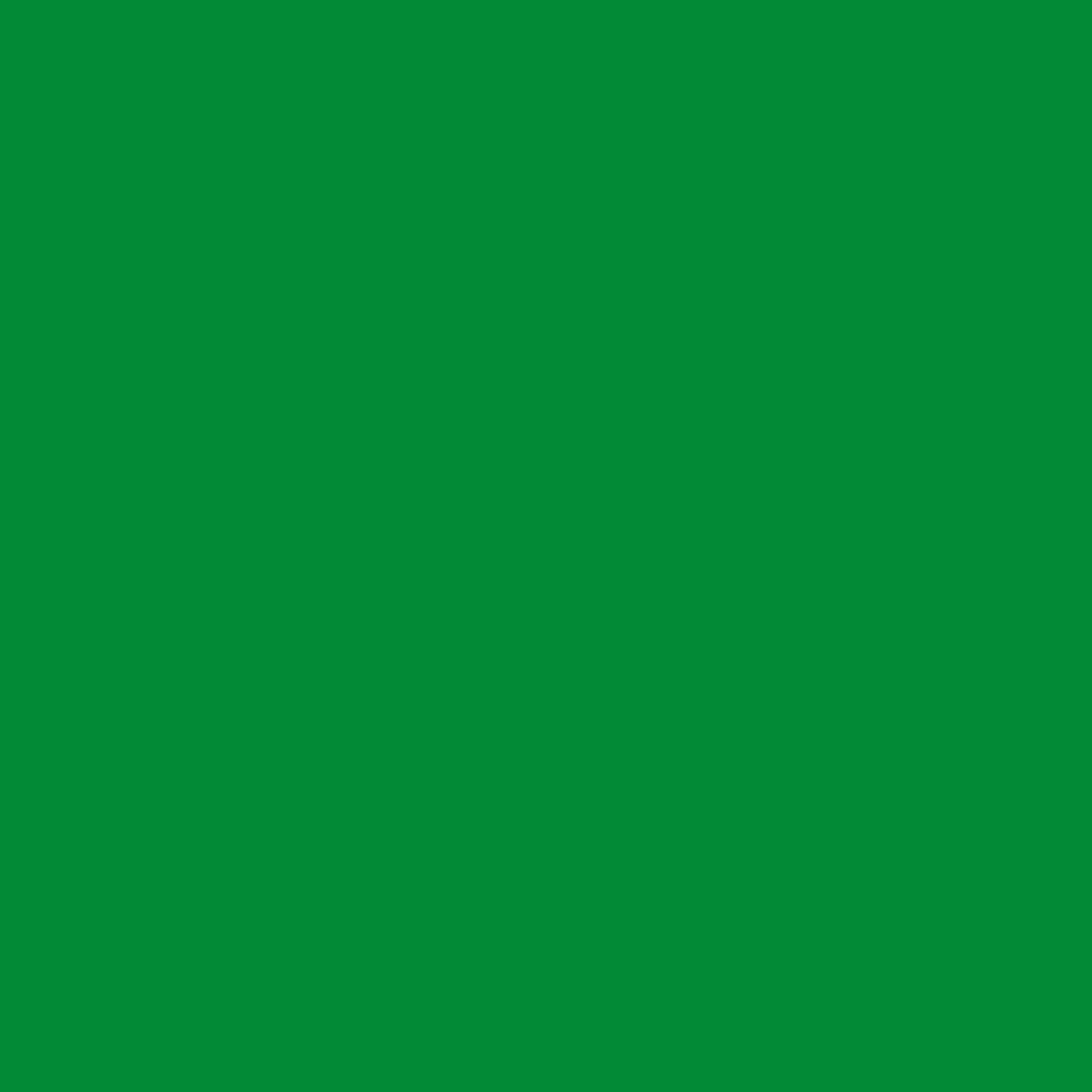 Team Green