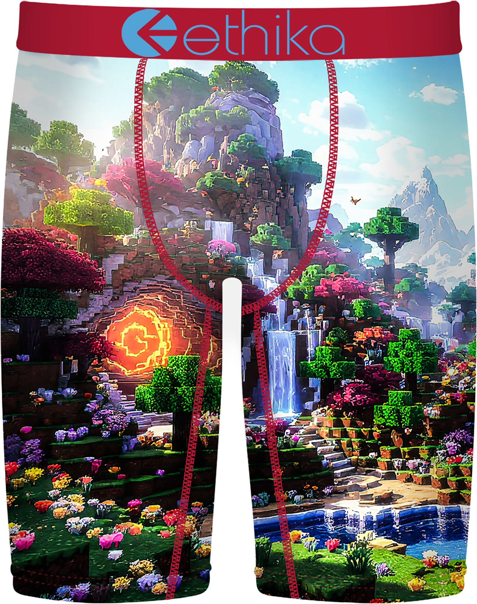 Ethika Boys' Block Bound Boxer Briefs