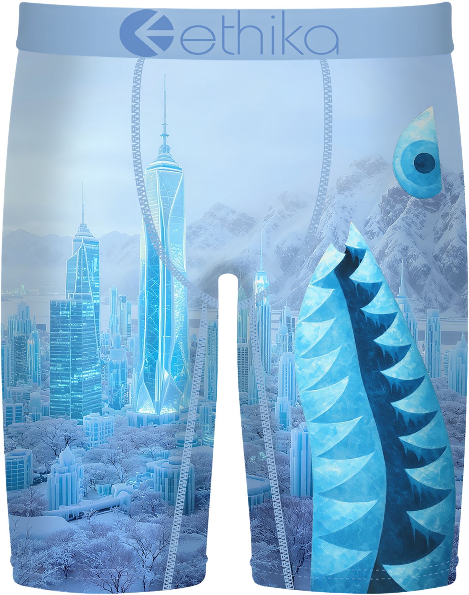 Ethika Boys' BMR City Of Stillness Boxer Briefs