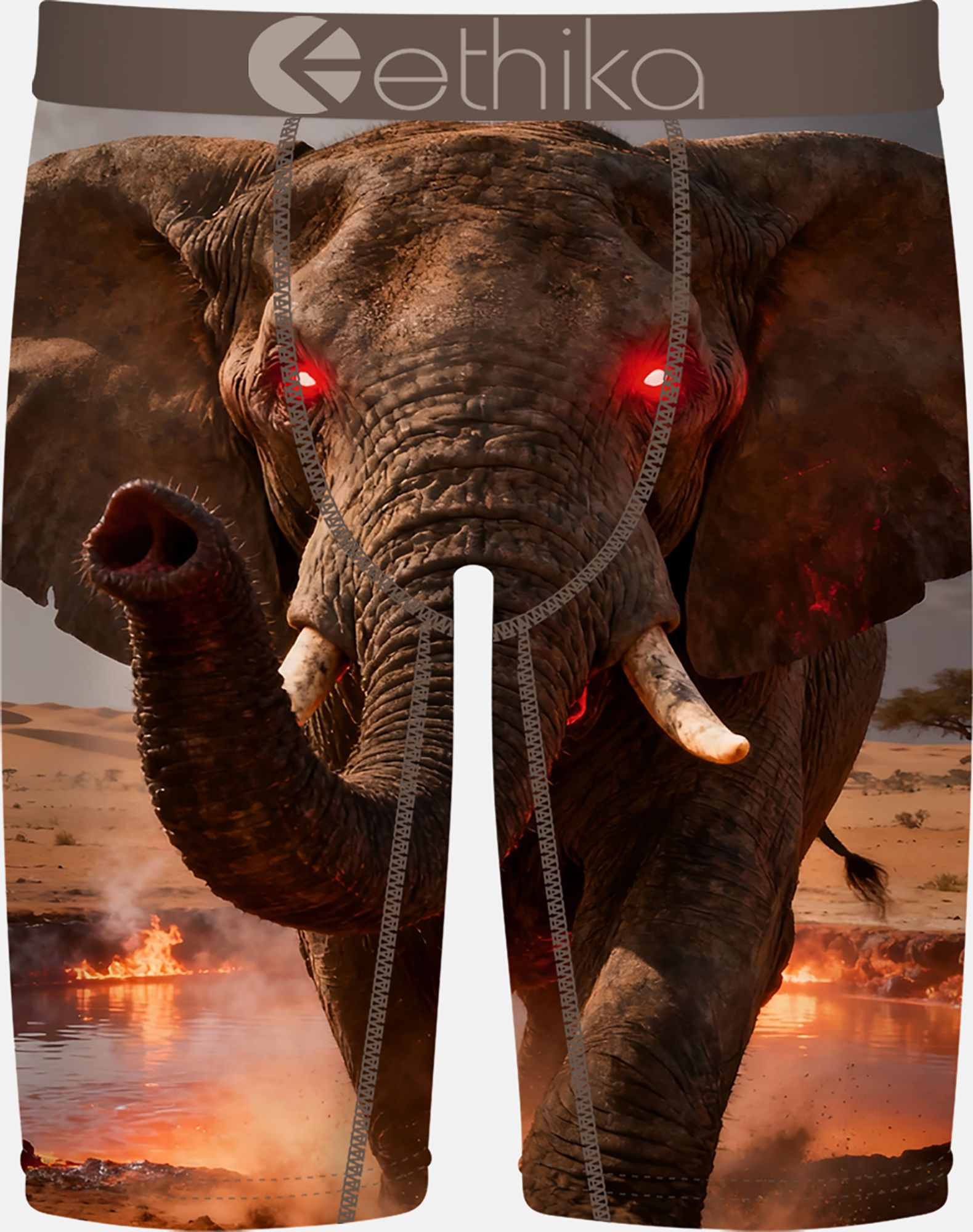 Ethika Boys' Thunder Tusk Boxer Briefs