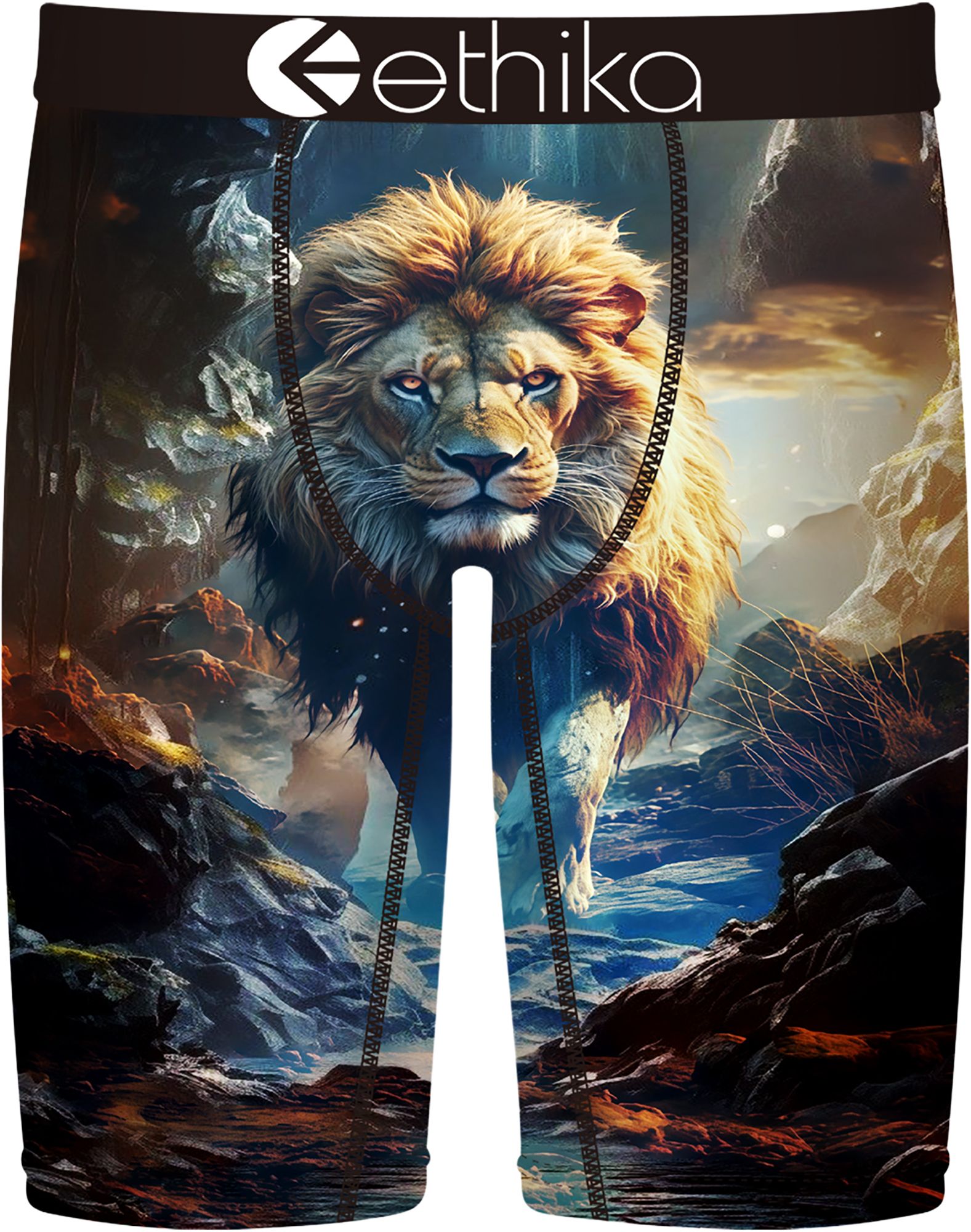 Ethika Boys' Lion Hearted Boxer Briefs