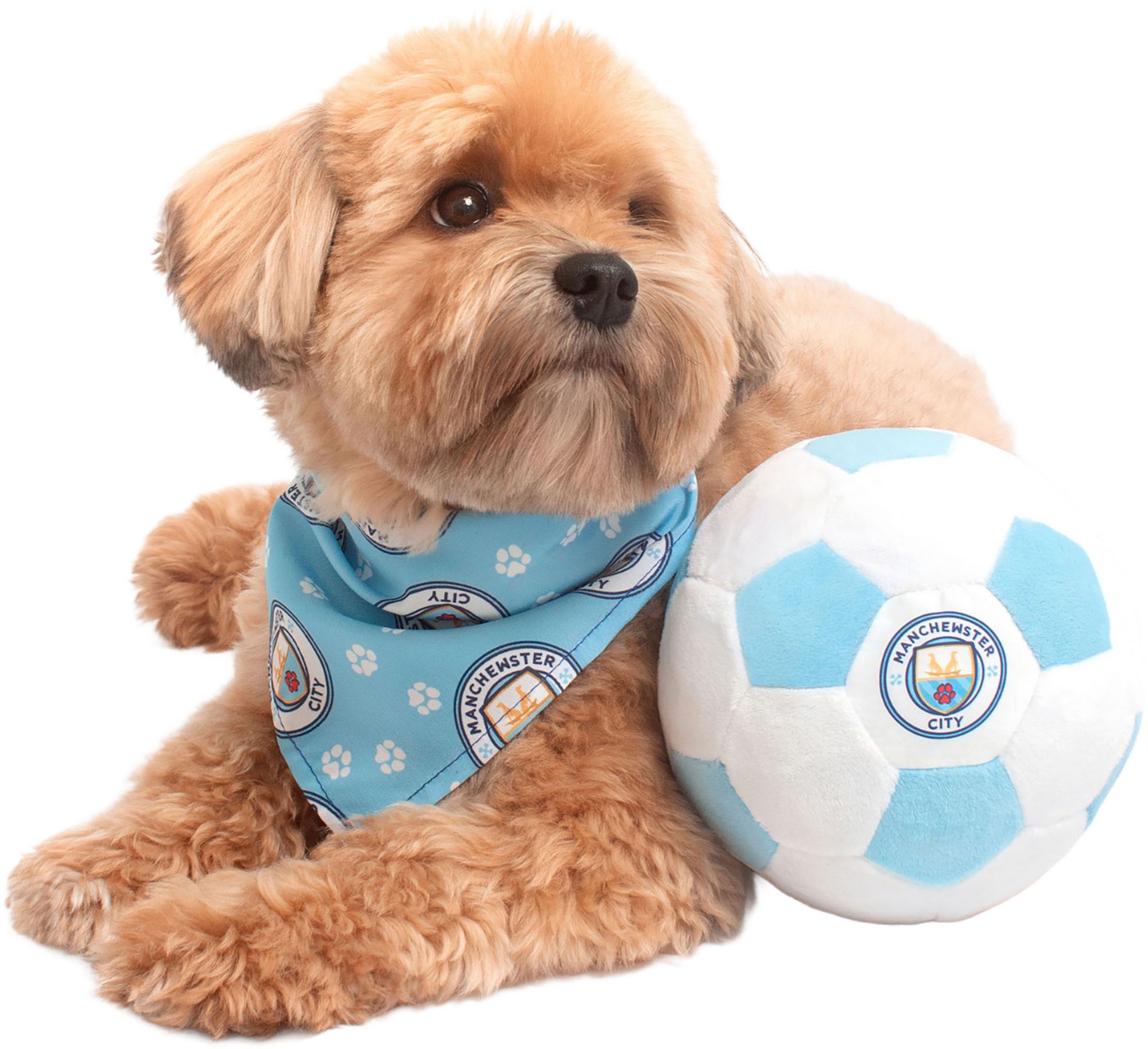 Floofball Manchewster City Soccer Kit S Ball S Band Bundle