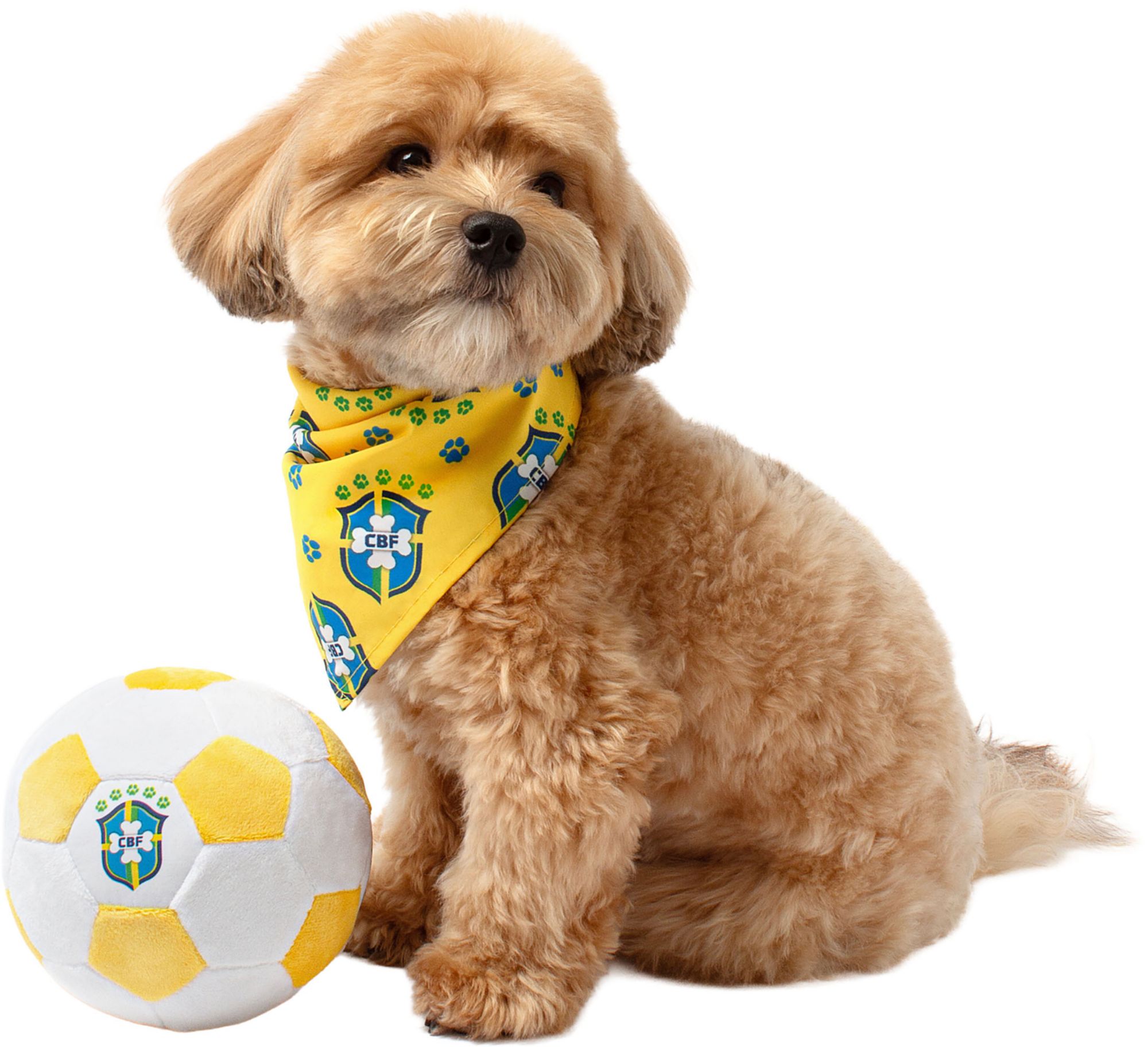 Floofball Barkzil Soccer Kit S Ball S Band Bundle