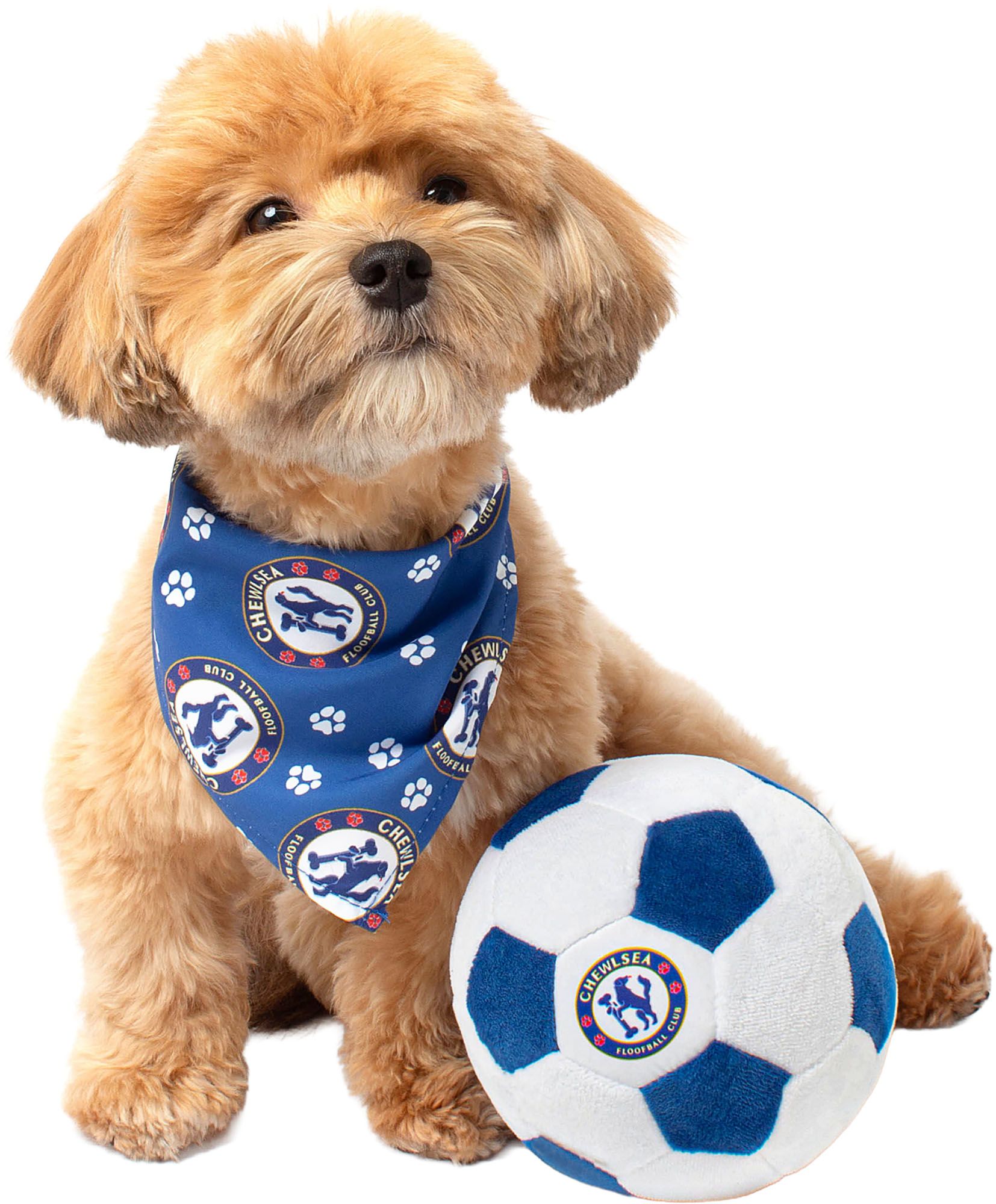 Floofball Chewlsea Soccer Kit S Ball L Band Bundle