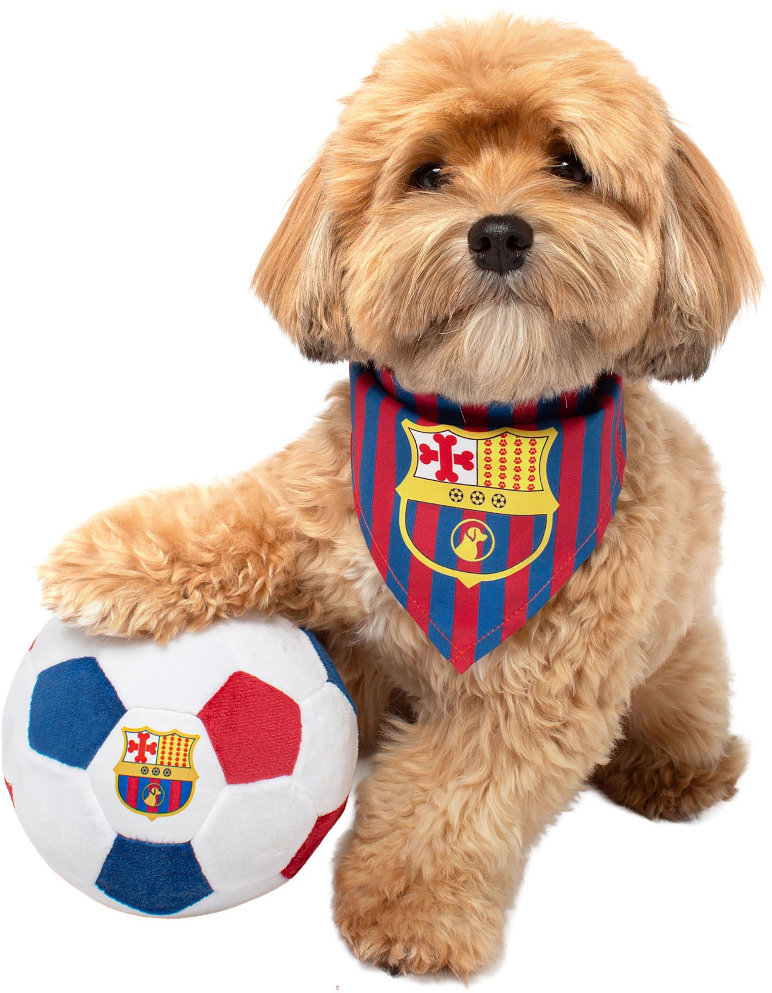 Floofball Barkcelona Soccer Kit S Ball L Band Bundle