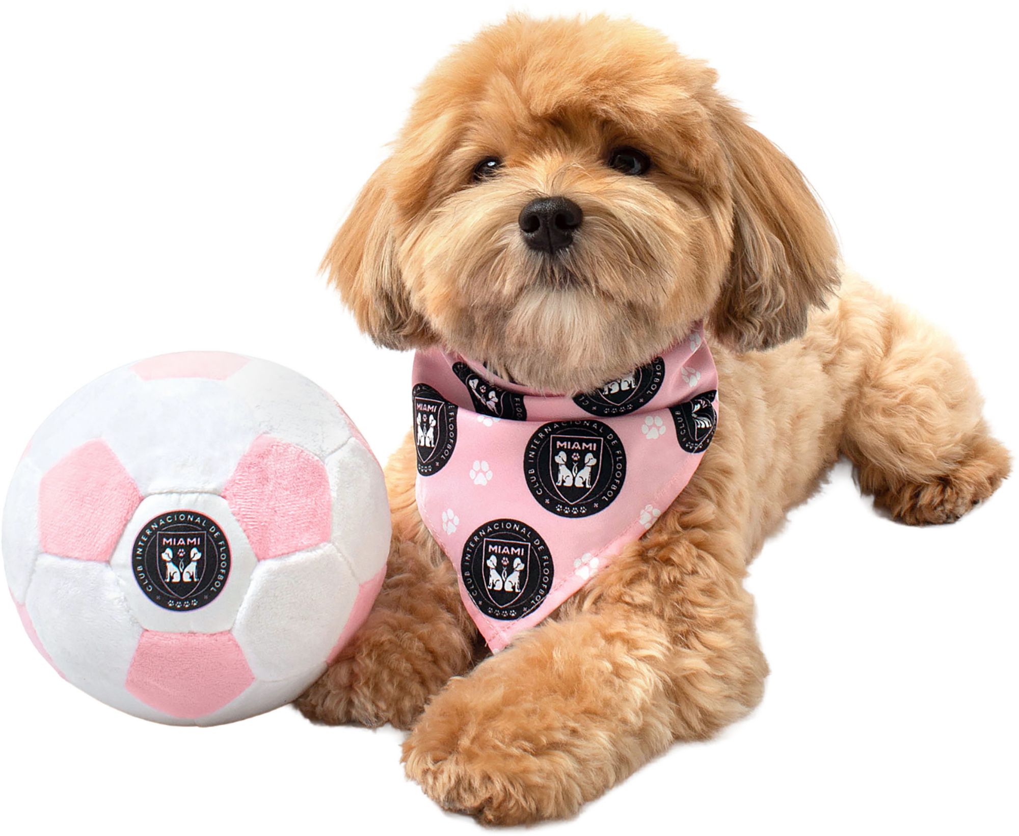 Floofball Miami Soccer Kit S Ball L Band Bundle