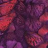 Butterfly Wings