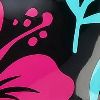 Black/Pink/Teal
