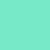 Mint/Mint/Black