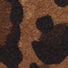 Brown Leopard