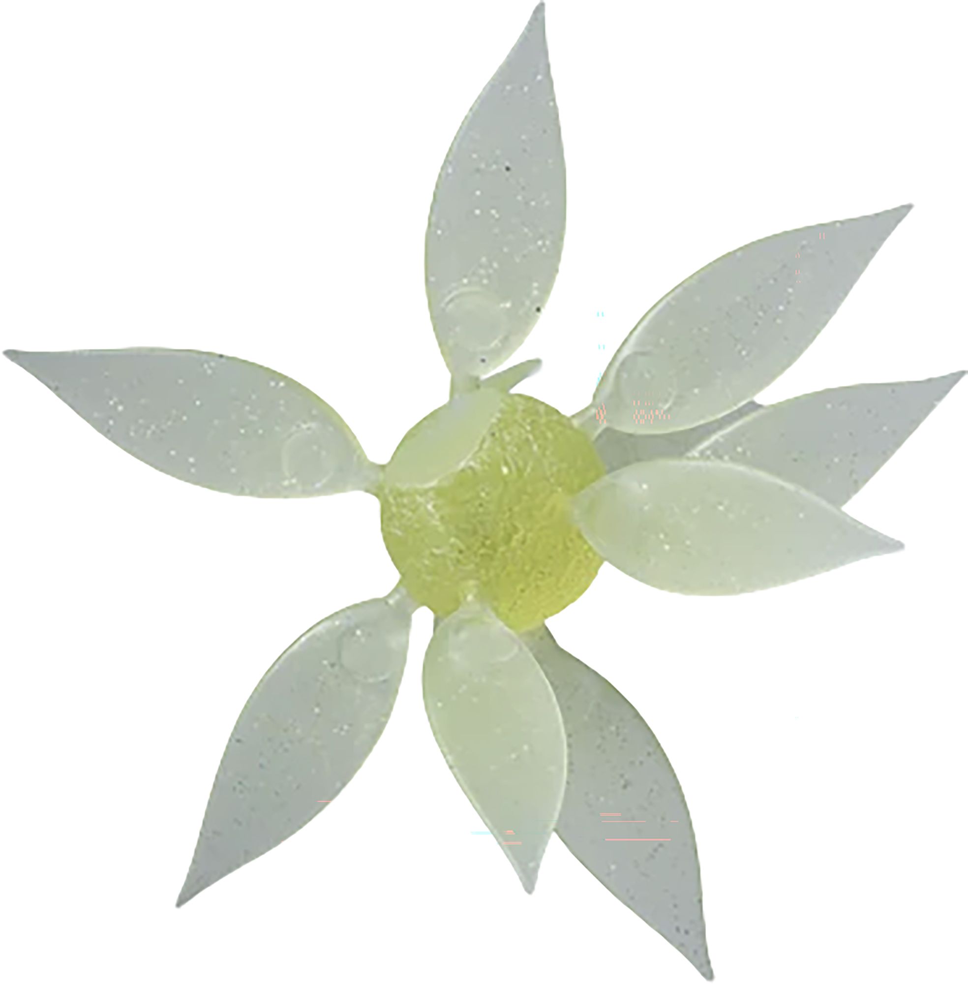 Squash Lemon