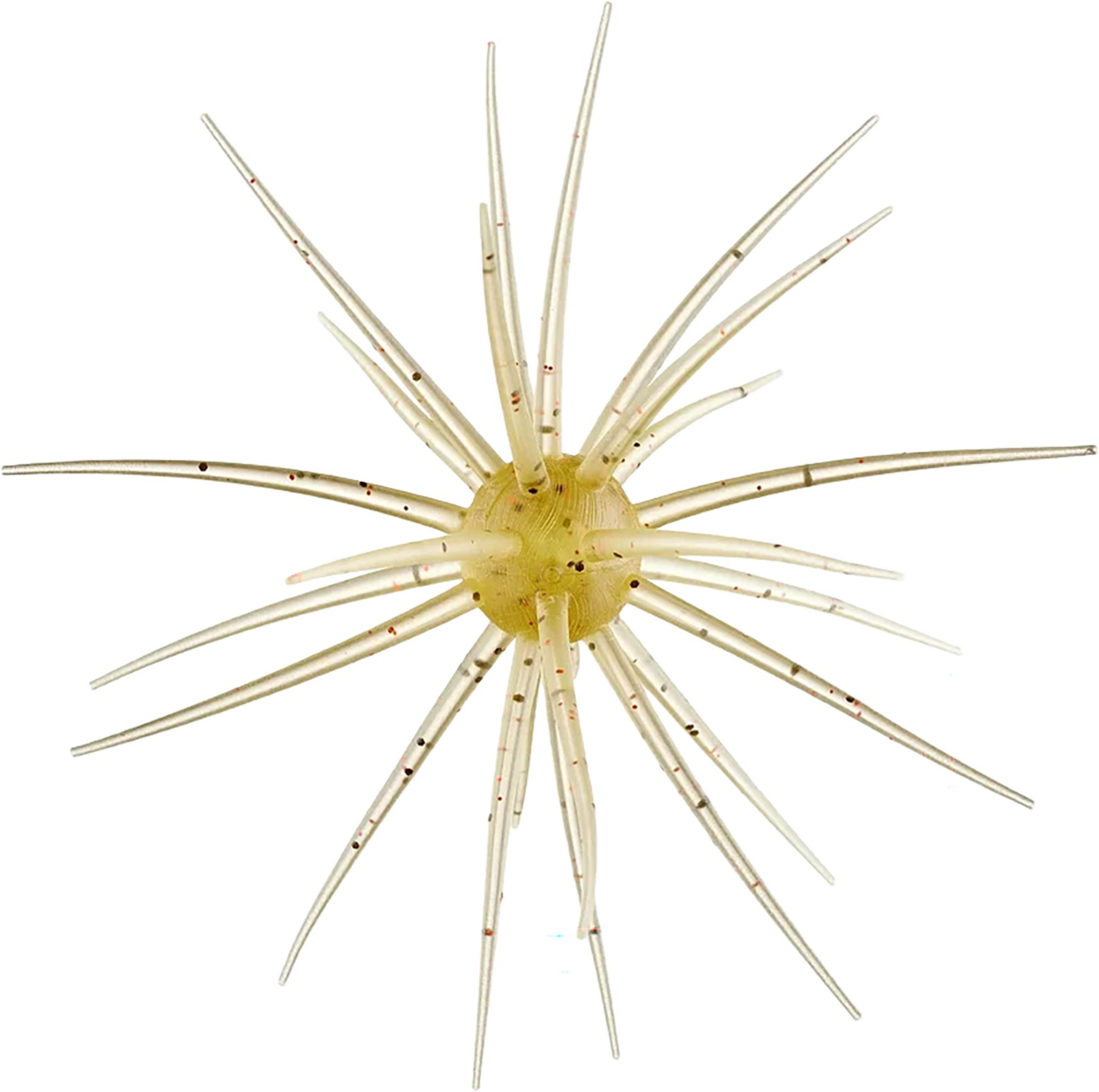 Edge Shrimp