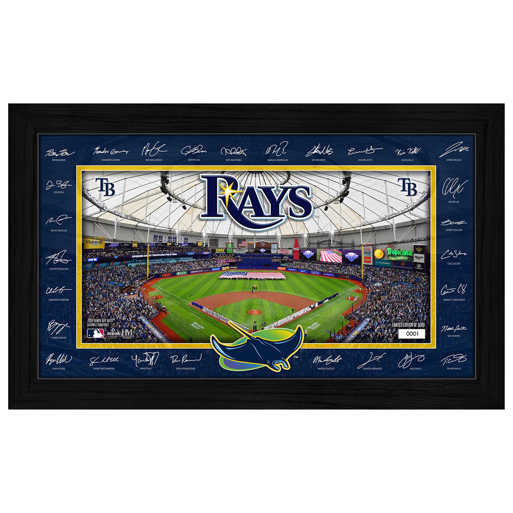 Highland Mint Tampa Bay Rays 2026 Signature Field Frame