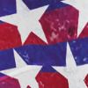 Patriot Parade