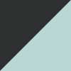 Black/Mint