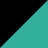 Mint/Black-White