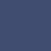 College Navy/White/Univst Gold