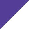 Court Purple/White/Gold