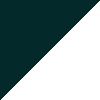 Sport Teal/White/Black