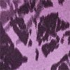 Purple Dynasty/Monarch Purple