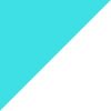 Dusty Cactus/Dusty Cactus/White