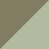 Silver Sage