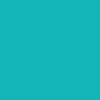 Dusty Cactus