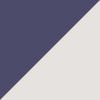 College Navy