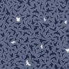 Diffused Blue
