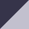 Purple/Silver