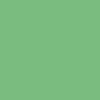 Illusion Green/Black