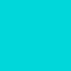 Dusty Cactus
