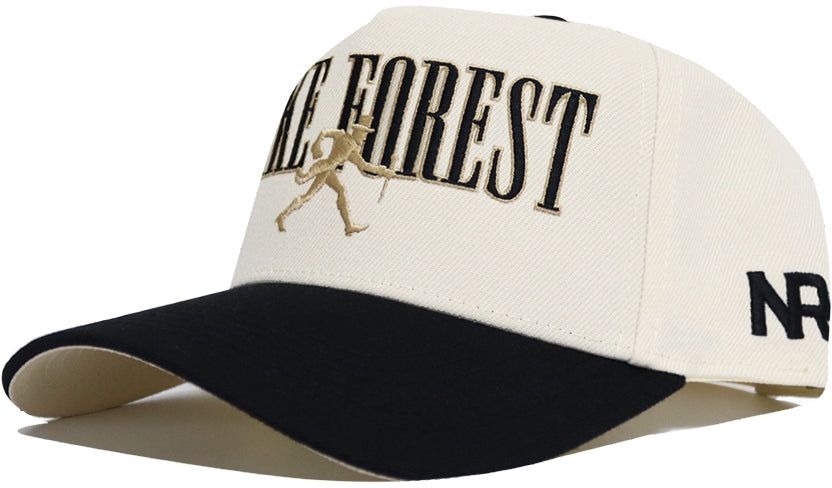 No Rivals Adult Wake Forest Demon Deacons Black Retro Snapback Adjustable Hat