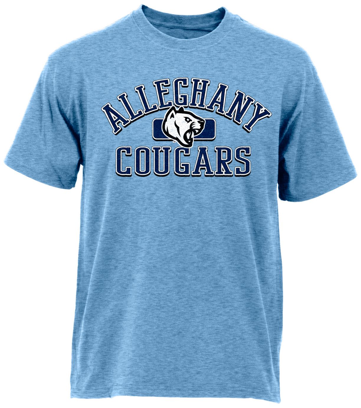 Ohiopyle Prints Adult Alleghany High School Heather Columbia Blue Plate Ultimate T-Shirt, Men's, XL