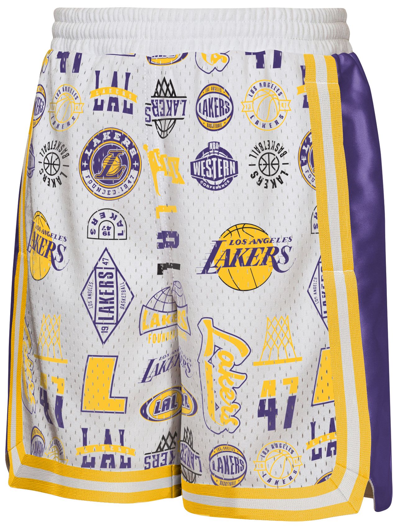 NBA Youth Los Angeles Lakers Ball Hog Shorts