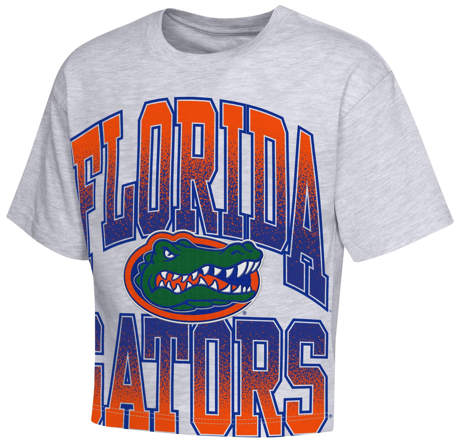NCAA Youth Florida Gators Grey Big Team Energy T-Shirt