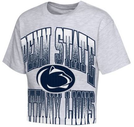 Outerstuff Youth Penn State Nittany Lions Grey Big Team Energy T-Shirt