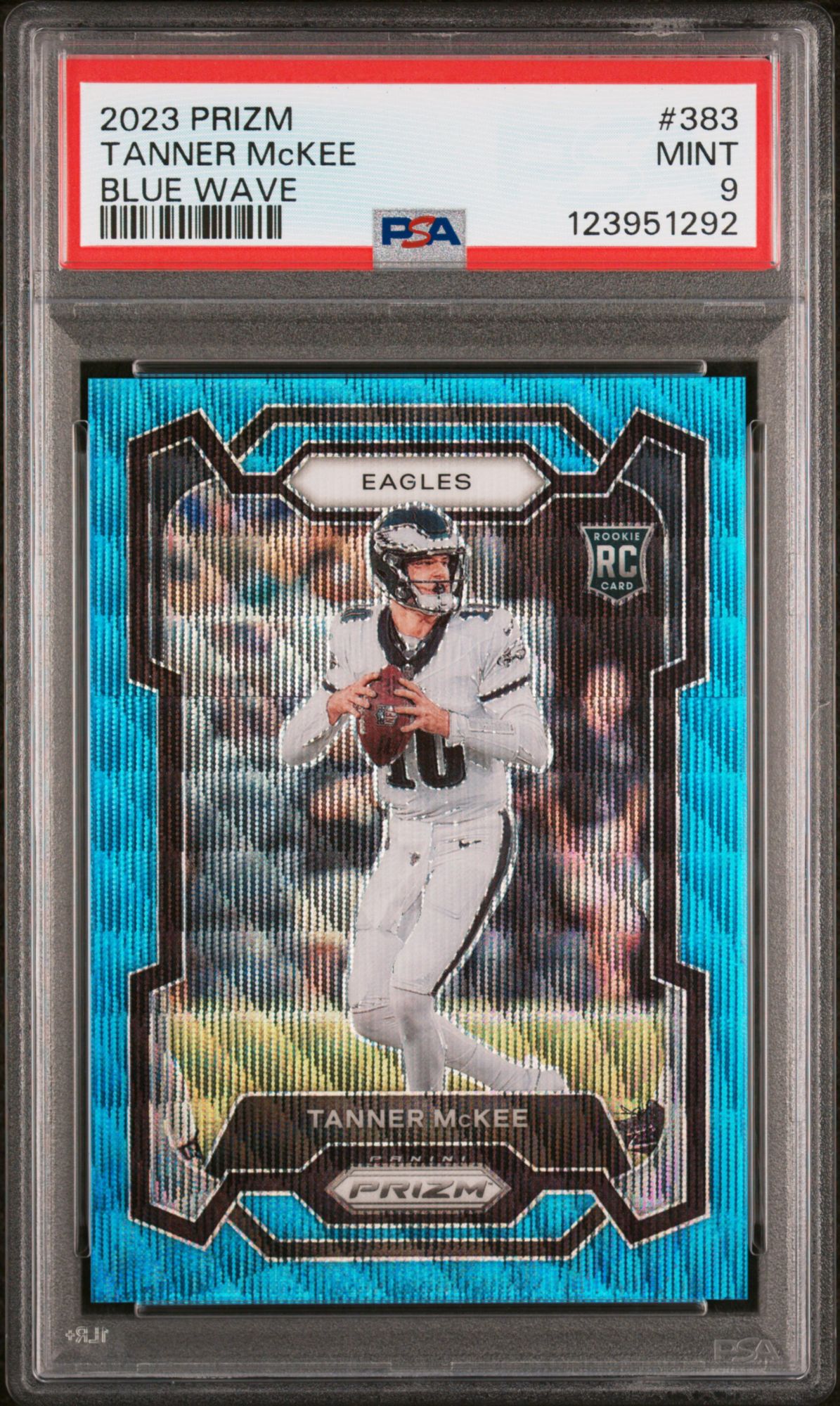 Panini Football Cards