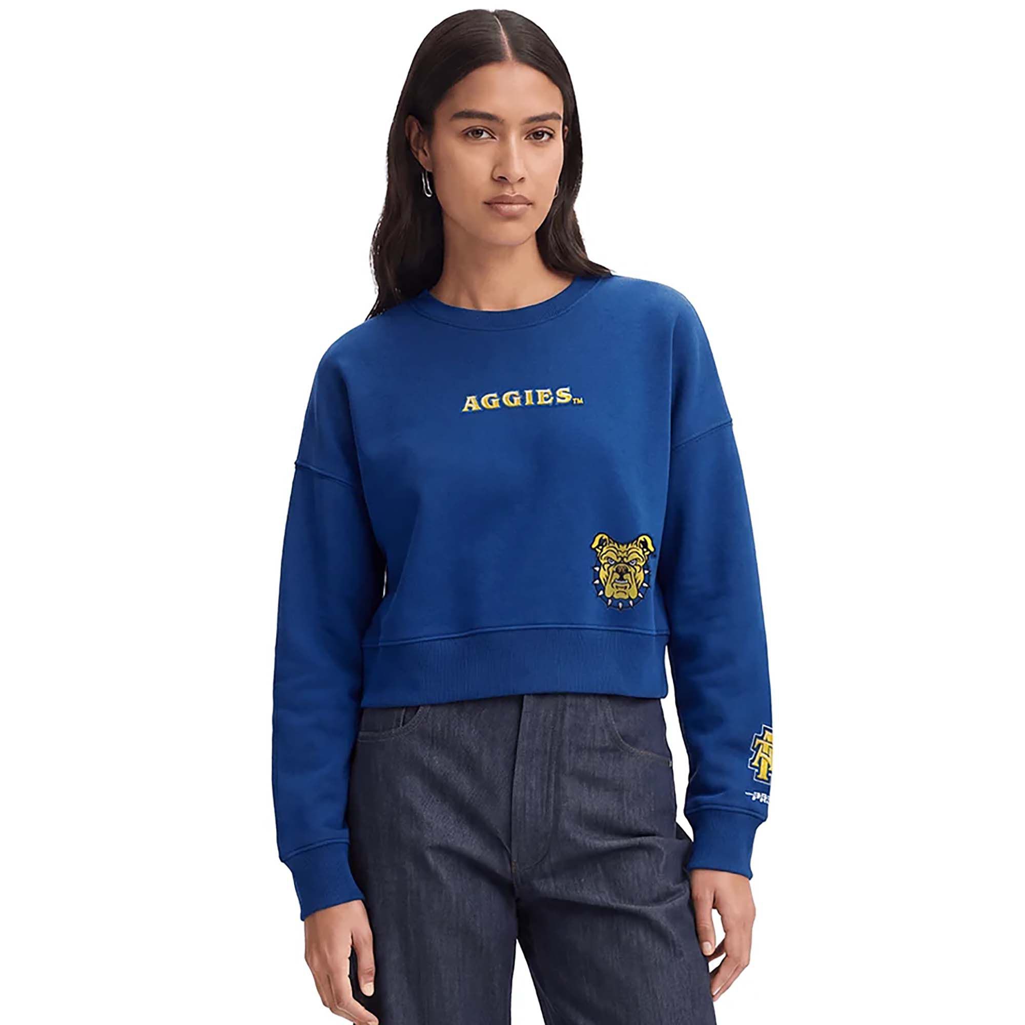 Pro Standard Women's North Carolina A&amp;T State Aggies Wingspan Crewneck Sweatshirt