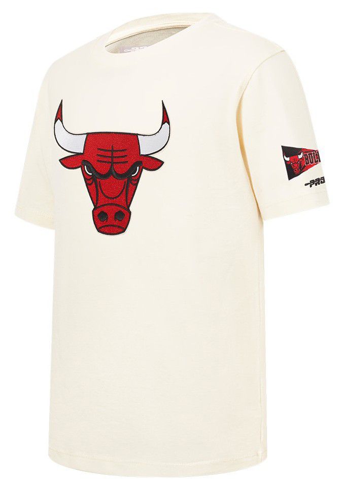 Pro Standard Youth Chicago Bulls Retro Classic T-Shirt