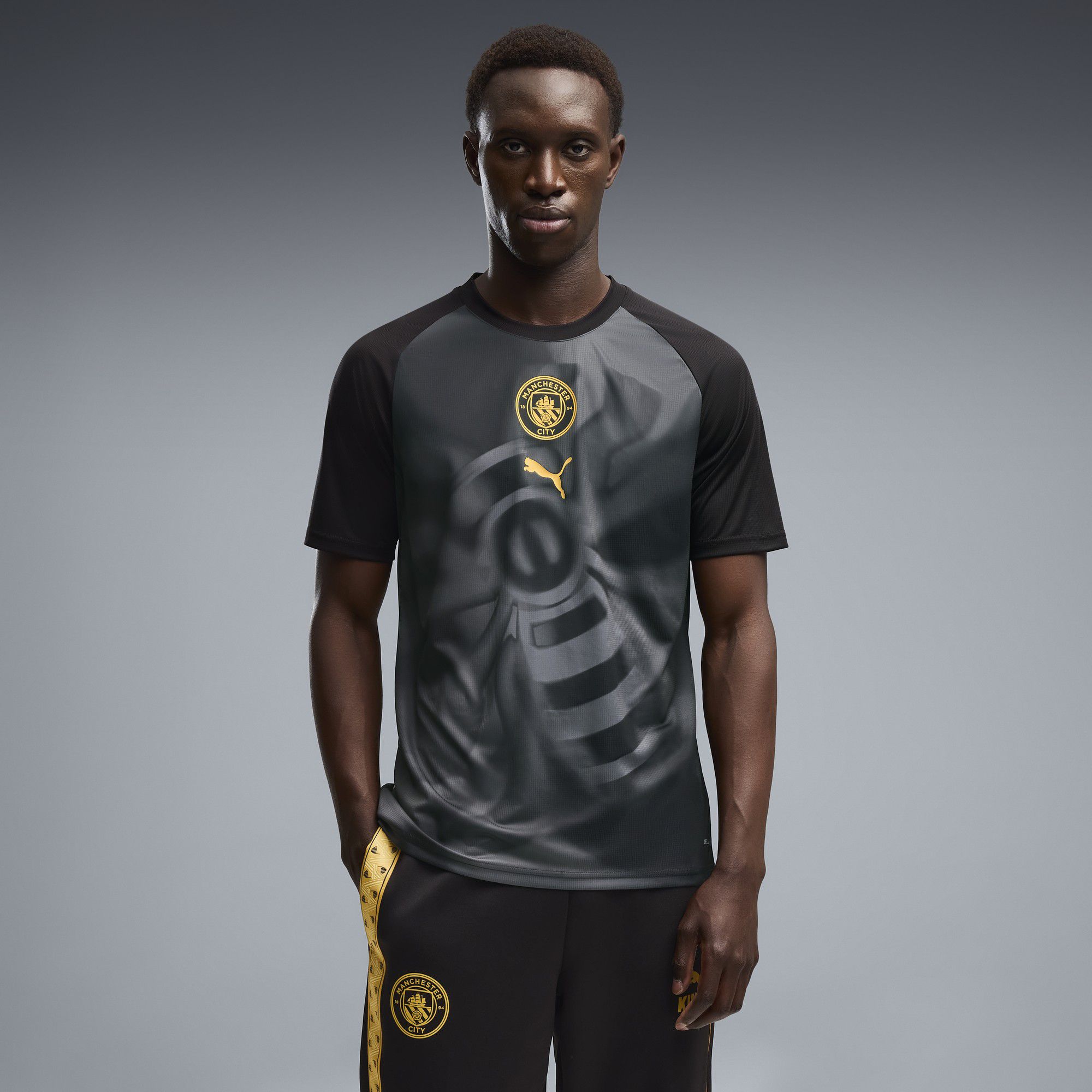 Fan Gear