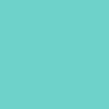 Intense Mint/Lt Lavender