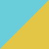Teal/Yellow
