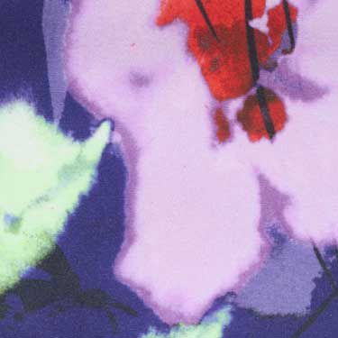 Flora Flare
