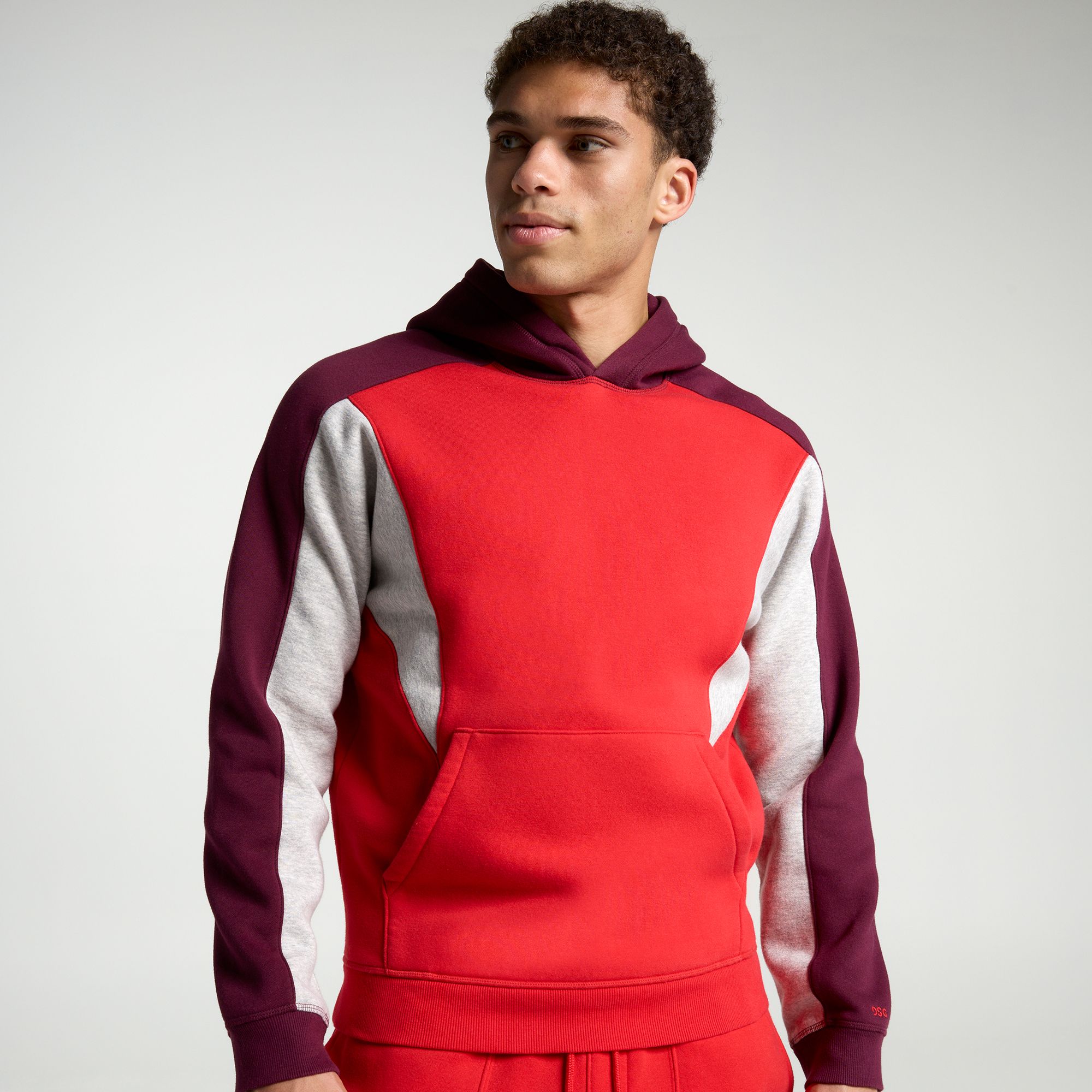 DSG Men's Classic Fleece Blocked Hoodie