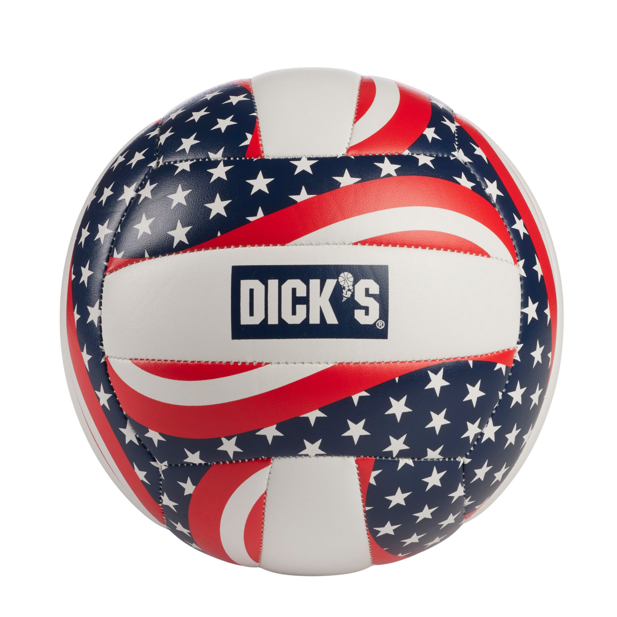 Dick's Sporting Goods Mini USA Volleyball